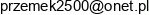Firma Handlowo Uslugowo Produkcyjna Przem Bud Przemyslaw Kocon Email address