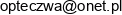 Polskie Towarzystwo Ekonomiczne Oddzial W Czestochowie Email 1
