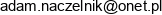 Adam Naczelnik Uslugi Spawalnicze Email address