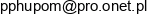 Przedsiebiorstwo Produkcyjno Handlowo Uslugowe Pom Email 1