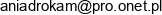 Przedsiebiorstwo Robot Drogowych Drokam Tomasz Wojtas Adres e-mail