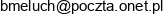 Boleslaw Meluch Bm Konsulting Email address