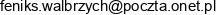 Pphu Feniks Email address