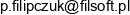 Piotr Filipczuk Fil Soft Email address