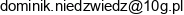 Kurs Serwis Dominik Niedzwiedz Email address