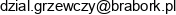Przedsiebiorstwo Handlowo Produkcyjne Brabork Email 1