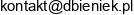 Dawid Bieniek It Solutions Adres e-mail