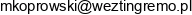 Wezting Development Email address