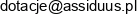 Assiduus Europe Fund W Likwidacji Email 1
