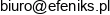 Elzbieta Flak Feniks Adres e-mail