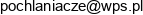 Wps Spolka Z Ograniczona Odpowiedzialnoscia Email 1