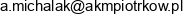 1 Firma Uslugowo Handlowa Akm Agnieszka Michalak 2 Apt Investments S C Adres e-mail