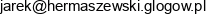 4eco Synergy Jaroslaw Hermaszewski Email address
