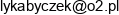 F H U A Z Lukasz Byczek Email address