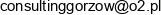 Consulting Mgr Inz Edward Borczewski Email address