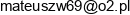 Przedsiebiorstwo Uslugowe Em Wu Mateusz Wielke Email address