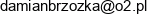 Damian Brzozka Eldam Przedsiebiorstwo Robot Elektrycznych Email address