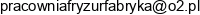 Pracownia Fryzur Fabryka Lukasz Balcerzak Email address