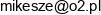 Twoj Developer Grzegorz Mika Email address