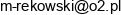Auto Naprawa Wulkanizacja Miroslaw Rekowski Email address