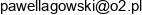 Pawel Lagowski Business 4 Life Adres e-mail