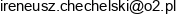 1 Ireneusz Chechelski Szklarstwo Roboty Ogolnobudowlane 2 Ireneusz Chechelski Wspolnik Spolki Cywilnej Dawik Adres e-mail