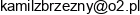 Arborteam Kamil Zbrzezny Email address