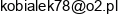 Pawel Kobialka Geo Wektor Uslugi Geodezyjne Email address