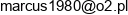 F H U Marcin Guzlecki Adres e-mail