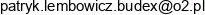Budex Patryk Lembowicz Adres e-mail