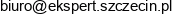 Ekspert Systemy Informatyczne Marchelewski Cierpica Dzik Email address
