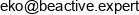 Przedsiebiorstwo Produkcyjno Handlowo Uslugowe Be Active Sebastian Howanski Email address