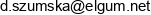 Elgum Mgr Danuta Szumska Email address