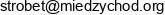 Zaklad Produkcji Betonow Strobet Mieczyslaw Szczepaniak Email address