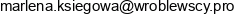 Wroblewscy Company Adres e-mail