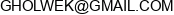Grzegorz Holwek Email address