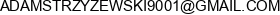 Synapse Dev Adam Strzyzewski Adres e-mail