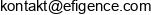 Efigence Adres e-mail