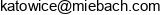 Miebach Consulting Email 1