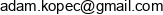 Archiprogram Adam Kopec Email address