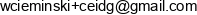 Amber It Uslugi Informatyczne Waldemar Chamier Cieminski Email address