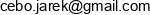 Holistic Jaroslaw Cebo Email address