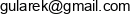 Focus Engineering Leszek Gularek Email address
