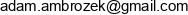 It Consulting Adam Ambrozek Adres e-mail