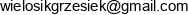 Mechanika Samochodowa Grzegorz Wielosik G W Motors Adres e-mail