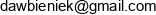 A D Bieniek Email address