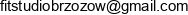 Firma Uslugowa Lucyna Wojdyla Adres e-mail