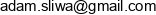 Adam Sliwa Plumit Email address