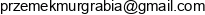 Data Solutions Przemyslaw Murgrabia Email address