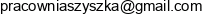 Pracownia Szyszka Tomasz Manczak Email address